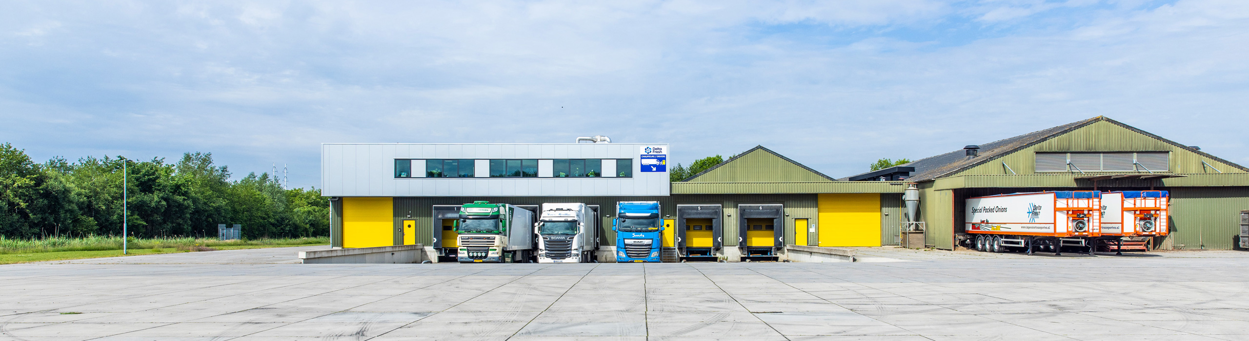 Delta Fresh company